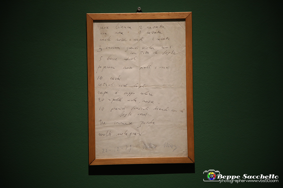 VBS_1395 - Castello di Miradolo - Mostra Oltre il giardino l'Abbecedario di paolo Pejrone.jpg